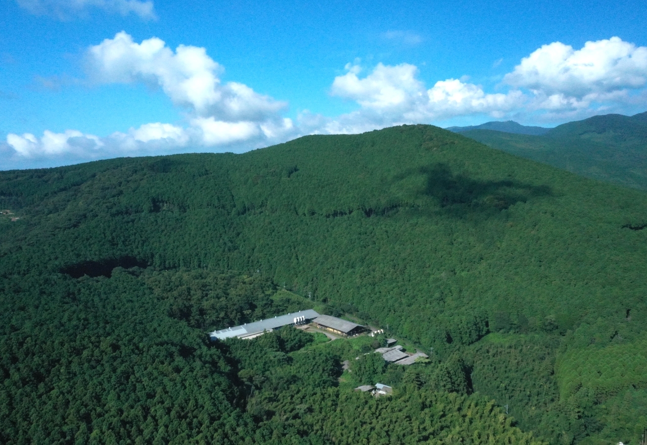 自然豊かな土地の中にある木原食肉生業