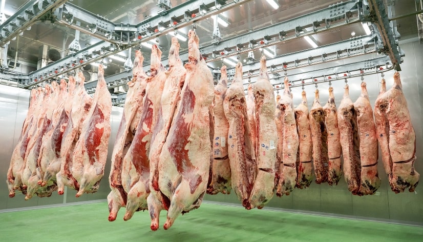 綺麗に加工された食肉