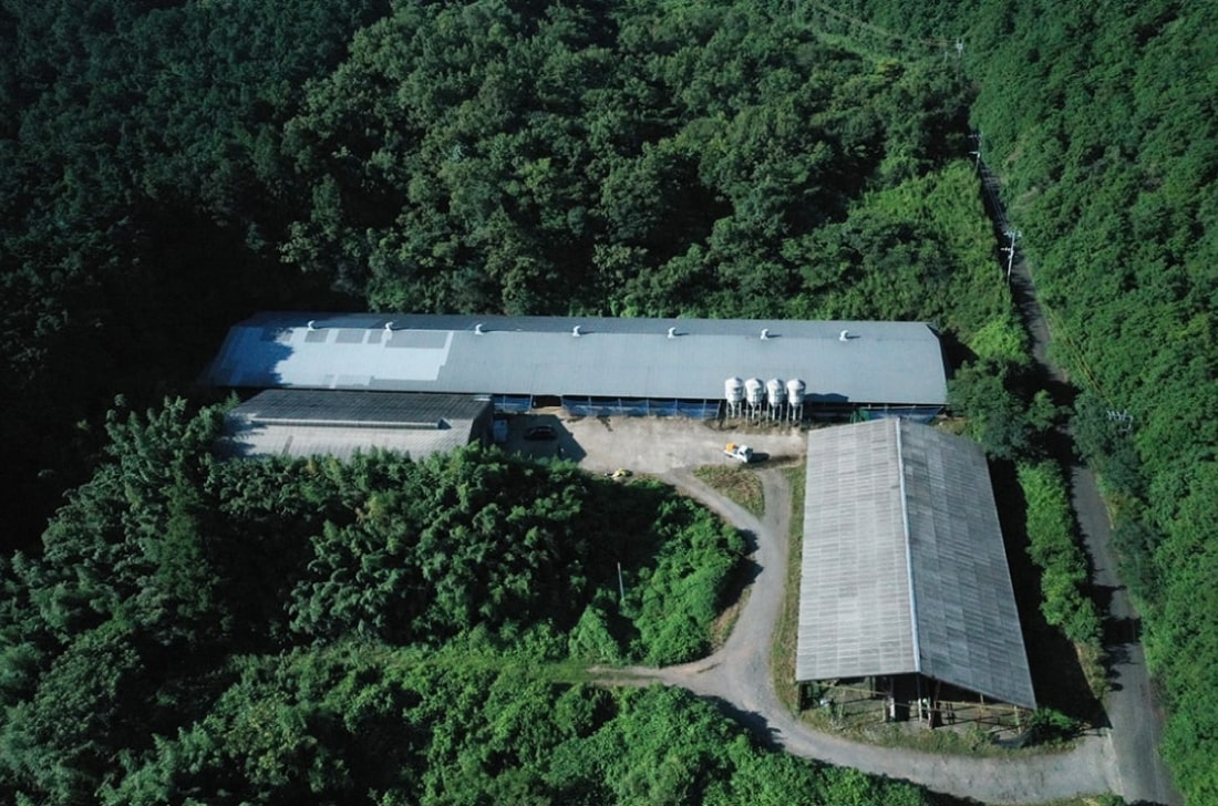 牛舎をドローンで撮影した写真