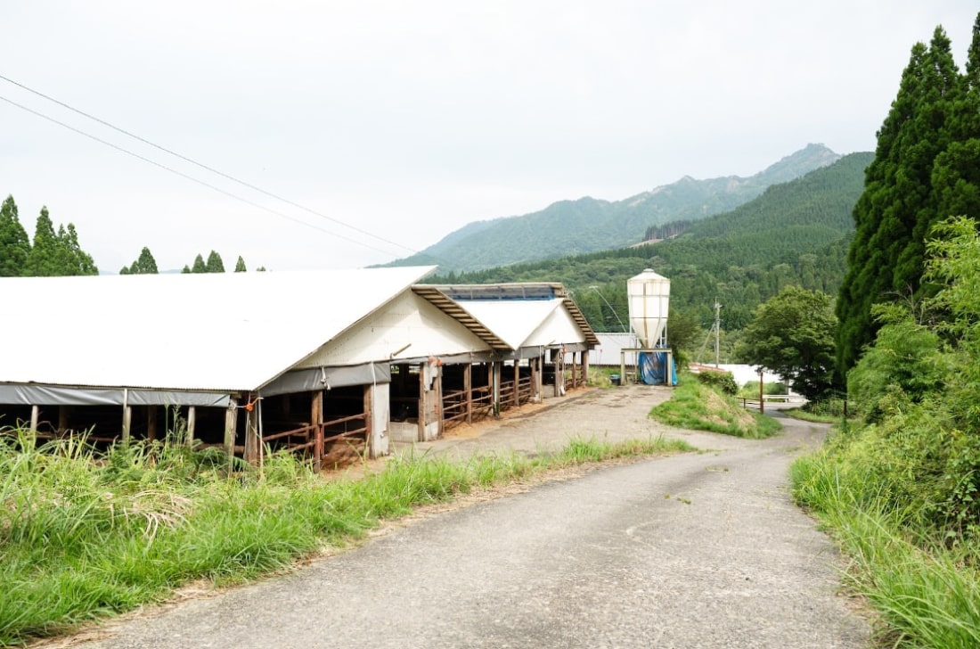 牛舎の周りの風景