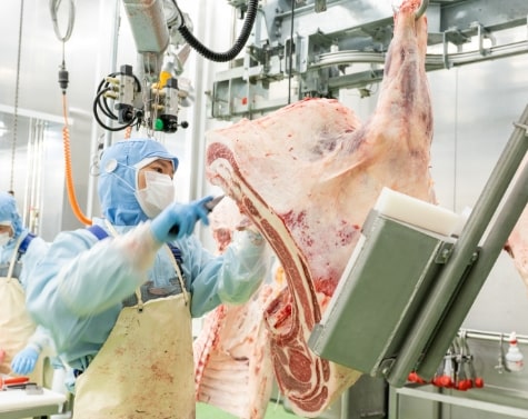 丁寧に加工された肉