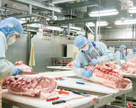 丁寧に加工された肉