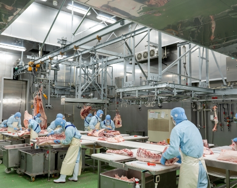 丁寧に加工された肉